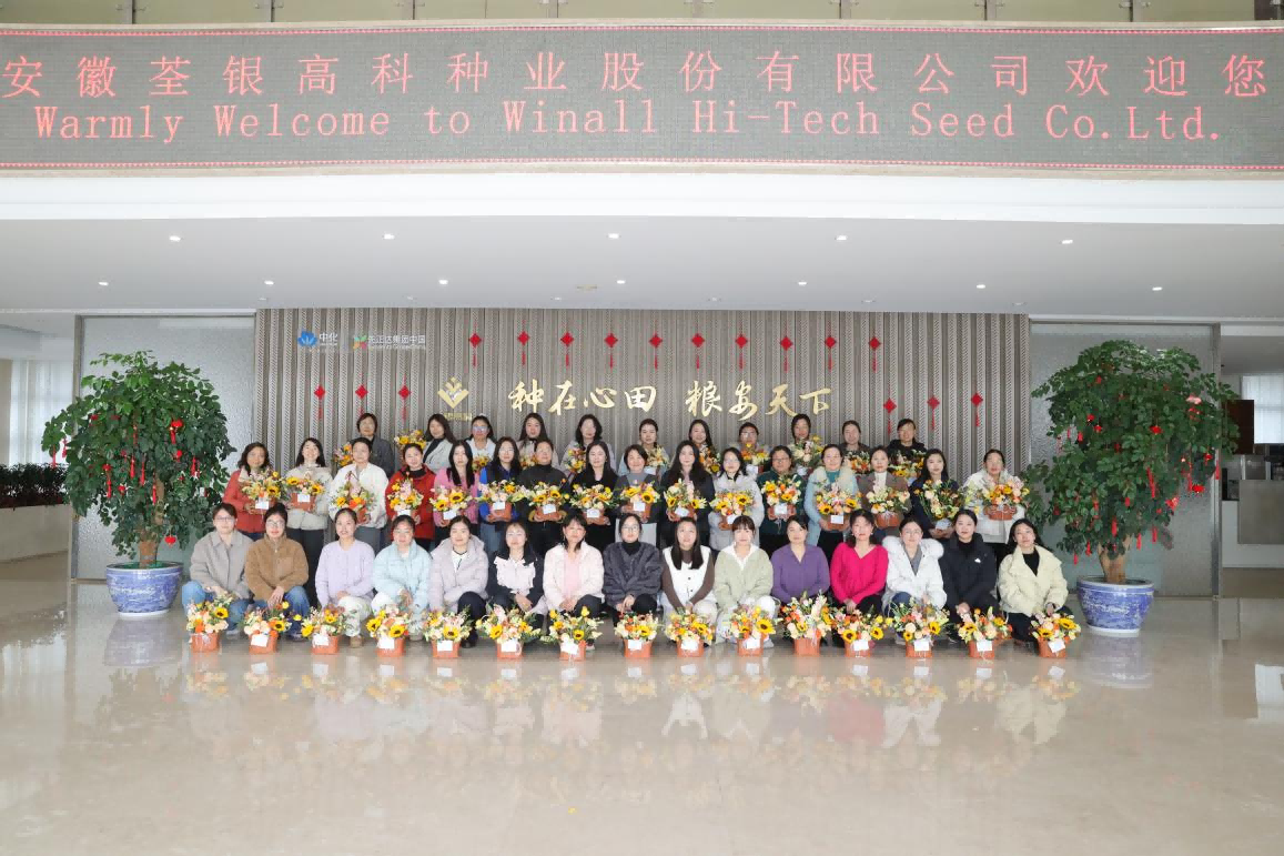 圖片2(1).png 圖片2(1).png